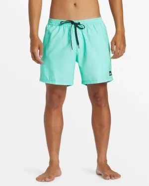 Quiksilver Men's Everyday Solid Volley Short